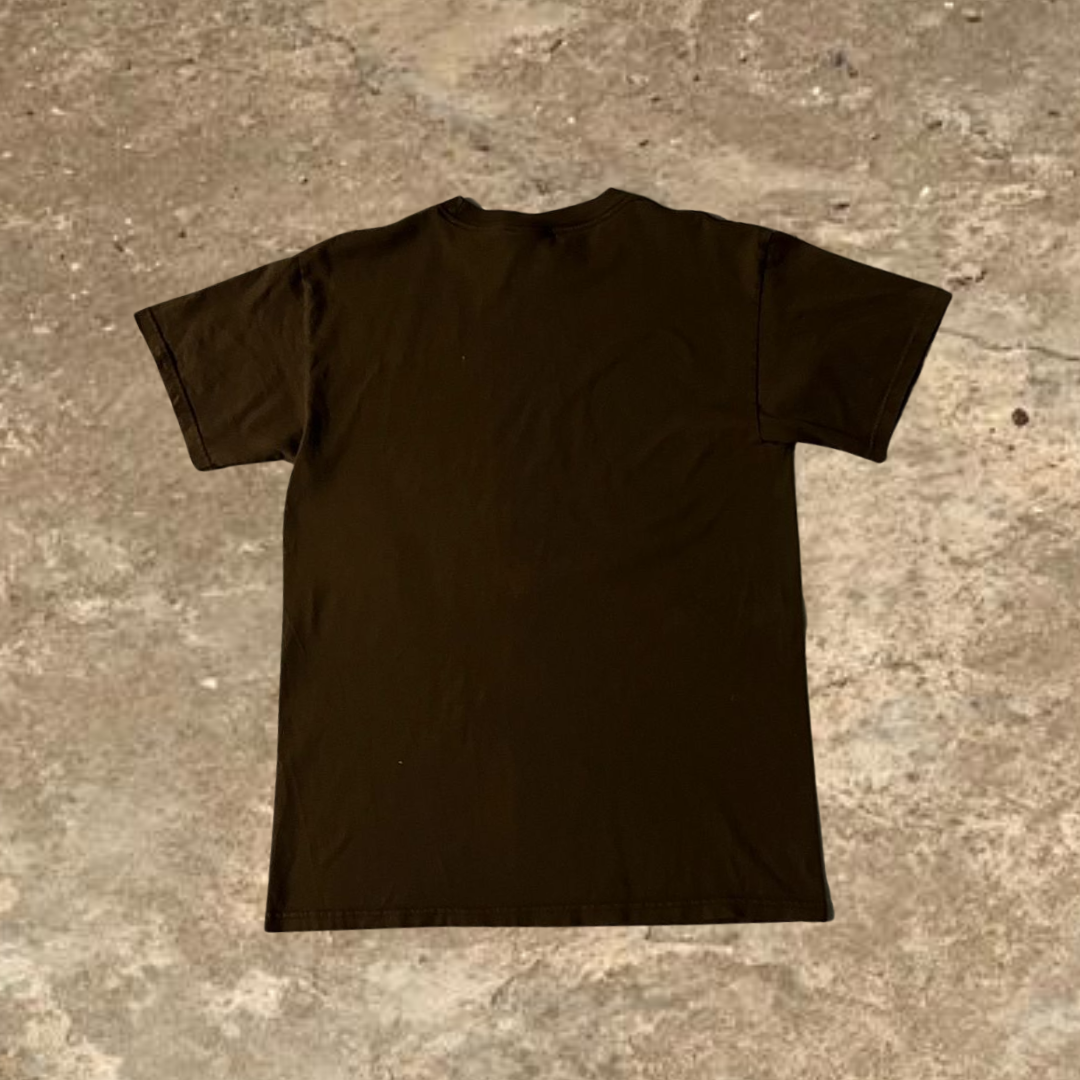 Alaska The Last Frontier Brown Tee